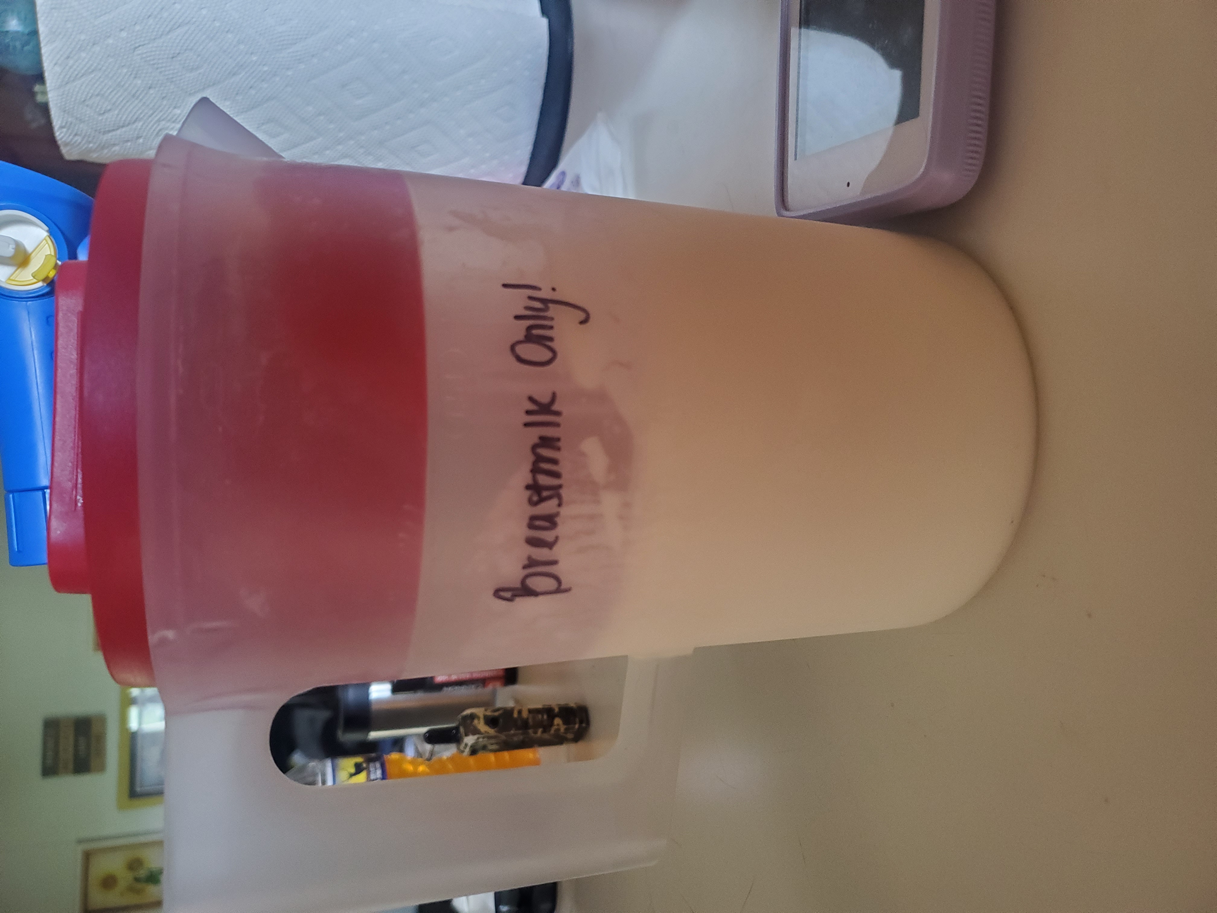 Kara's Daily Routine